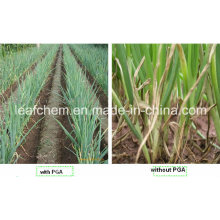 Landwirtschaft / Kosmetik / Lebensmittel / Medizin Gamma Poly Glutaminsäure Y PGA